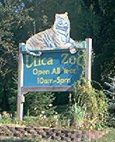 The Utica Zoo